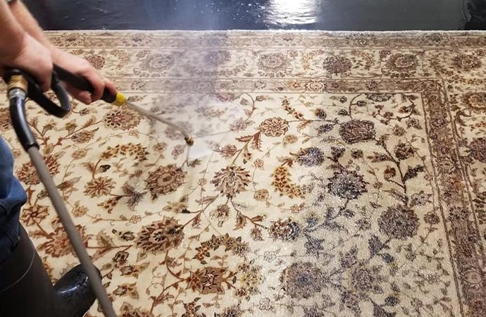 Area rug cleaning