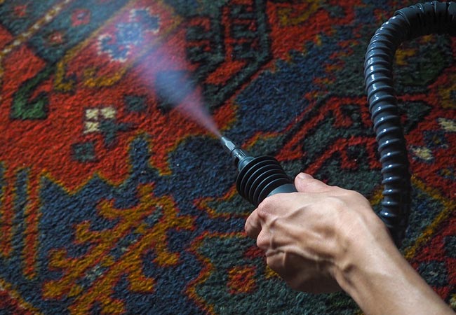 hot water extraction for rug cleaning by workers