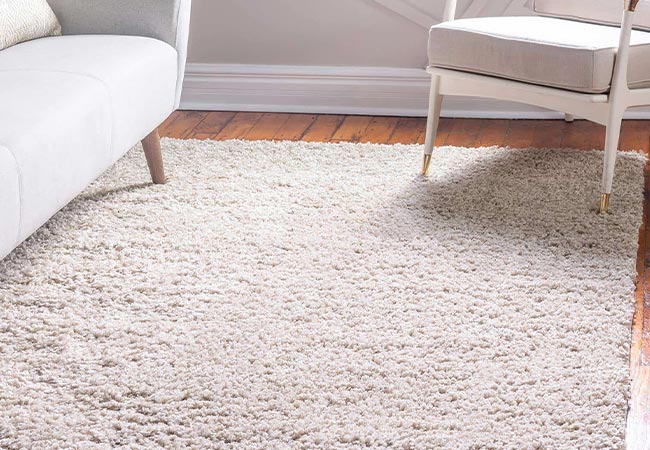 Clean rug in living room