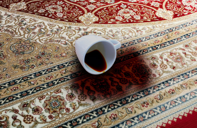 Professional Rug Cleaning