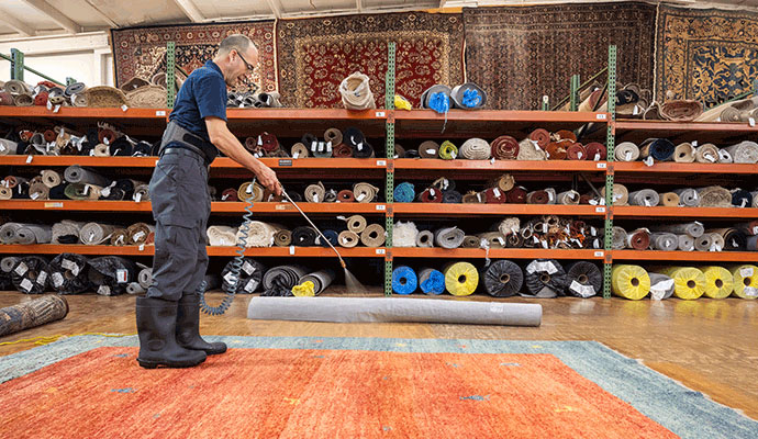 Professional worker cleaning the rug