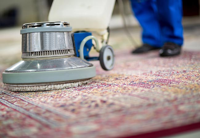 Professional worker cleaning rug