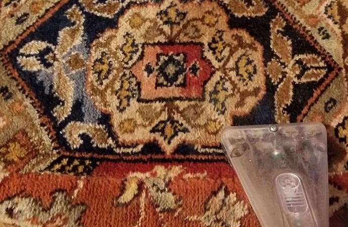 Wool rug vaccum cleaning