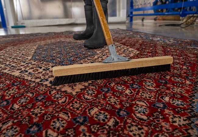 Rug cleaning with a brush by professionals