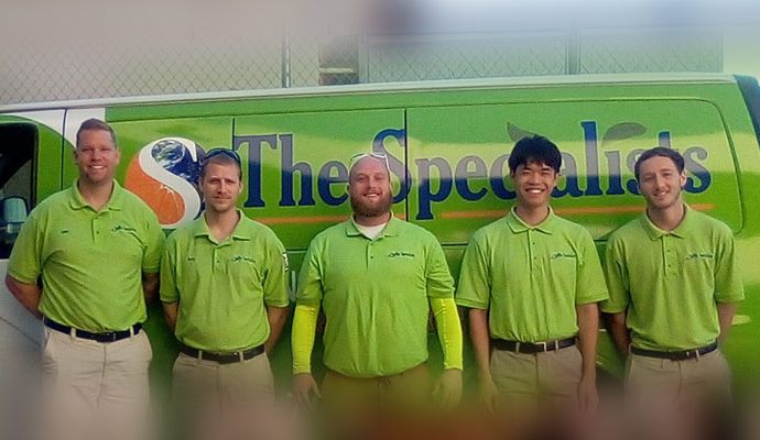 The rugs specialists service team