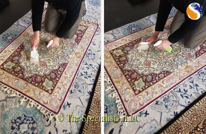 Rug Protection Treatment