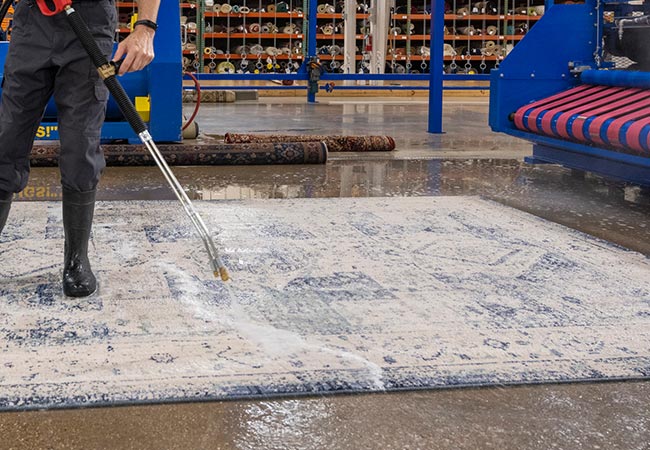 wet rug cleaning by professionals in Orangevale, CA