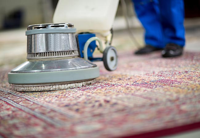 safe rug cleaning with electrical vacuum cleaner